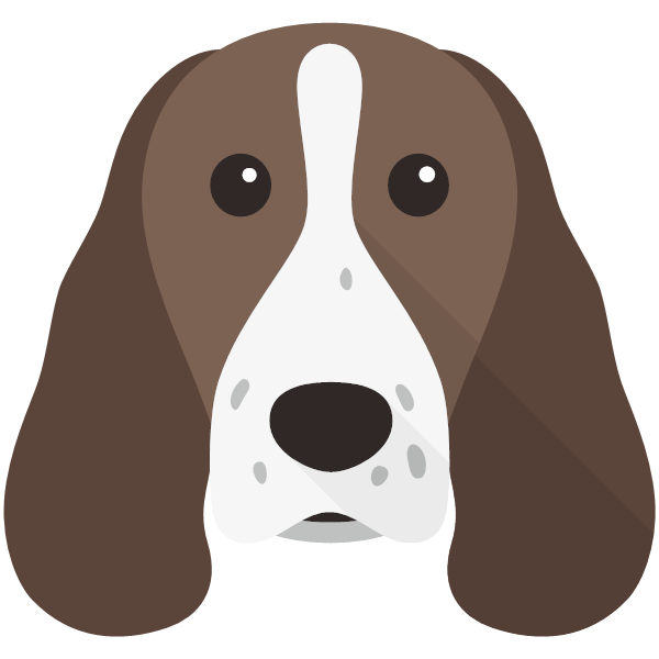 Springer Spaniel Icon