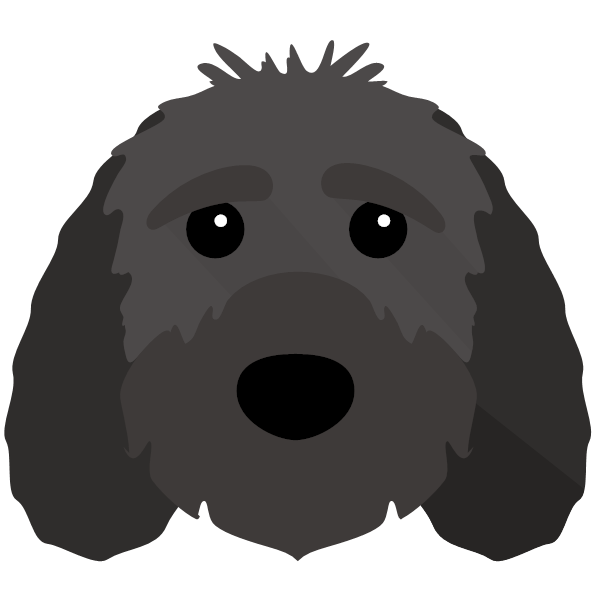 Sproodle icon