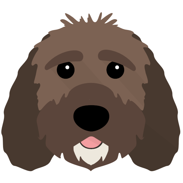 Coco icon