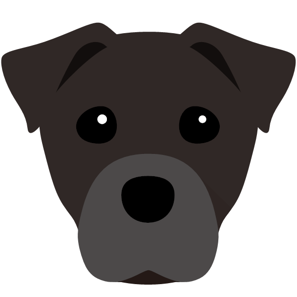 Staffy Jack icon