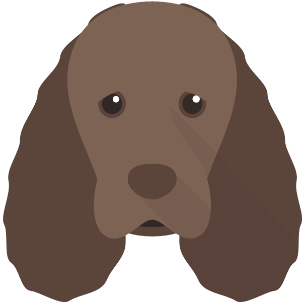 Sussex Spaniel Icon