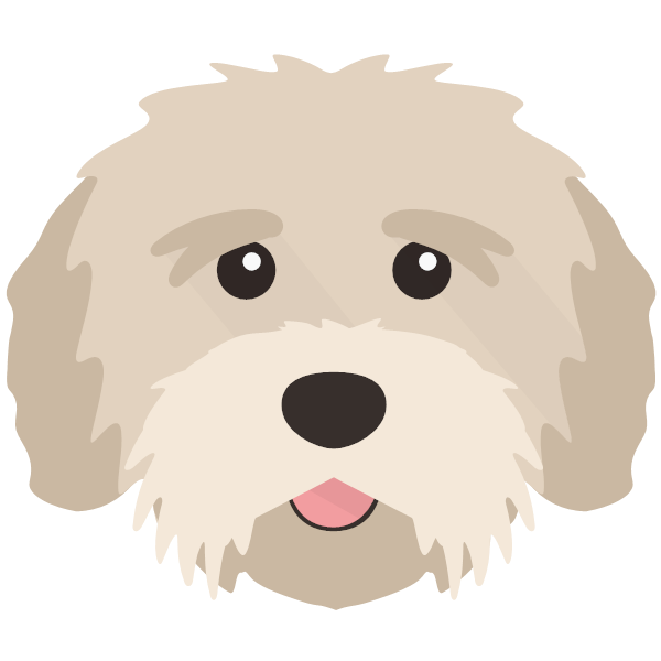 Tibetan Terrier icon