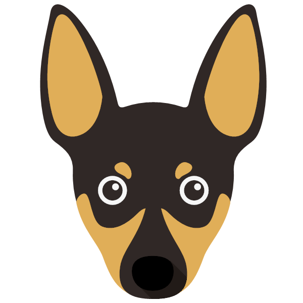 Toy Fox Terrier Icon