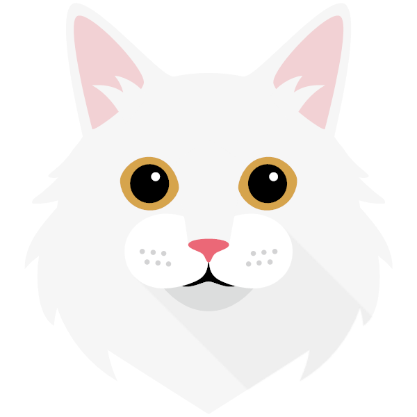 Turkish Angora Icon