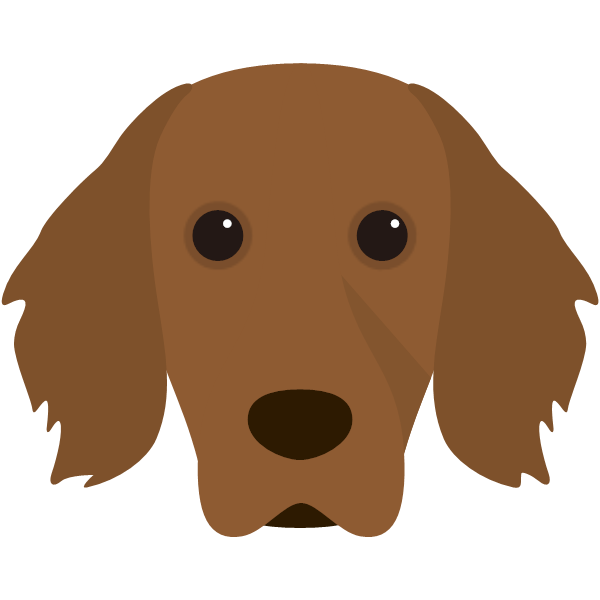 Rolo icon