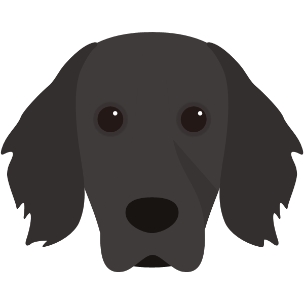 Maggie icon