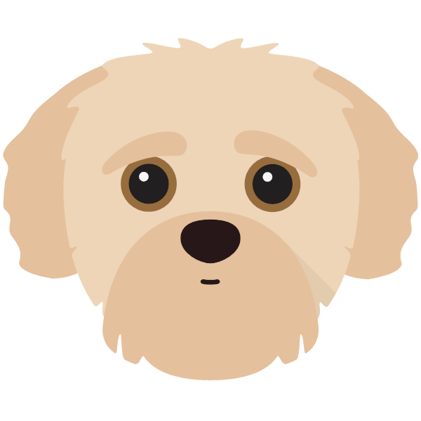 Yorkipoo icon