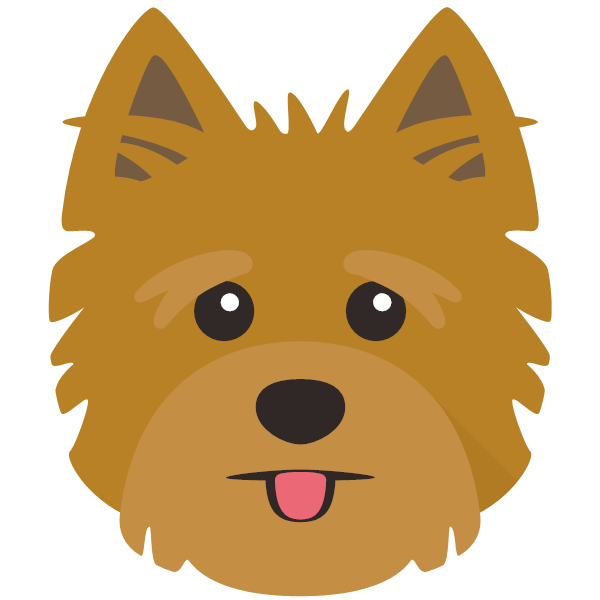 Roxy icon